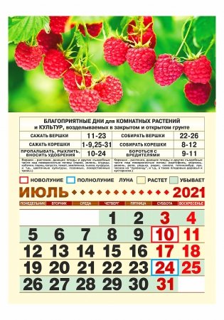 Садово-огородный лунный календарь на 2021 год фото книги 2