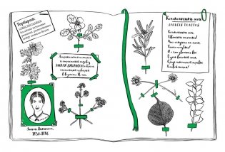 Мой удивительный мир природы. Книга для рисования фото книги 2