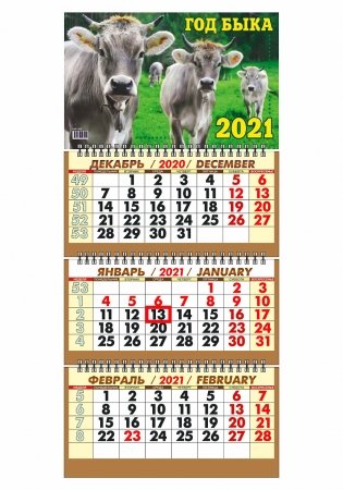 Календарь настенный "Символ года. Братья" на 2021 год фото книги