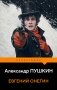 Евгений Онегин фото книги маленькое 2