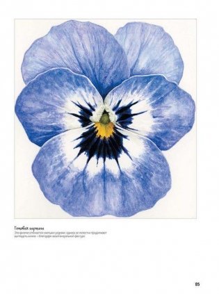 Основы ботанической живописи акварелью. Практические рекомендации и пошаговые описания фото книги 6