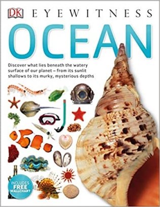 Ocean фото книги