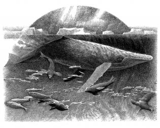 Хроники темных времен. Книга 9. Волчья погибель фото книги 2