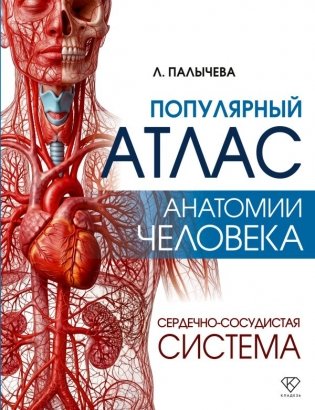 Популярный атлас анатомии человека. Сердечно-сосудистая система фото книги