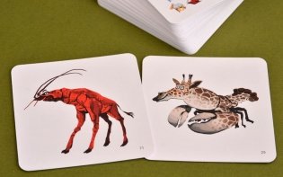 Настольная игра "Свинокрыл" фото книги 4