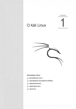 Kali Linux от разработчиков фото книги 7