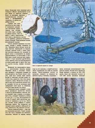 Большая энциклопедия охоты фото книги 9