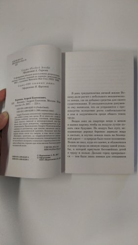 Котлован фото книги 3