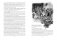 Виконт де Бражелон (комплект из 2 книг) (количество томов: 2) фото книги маленькое 5