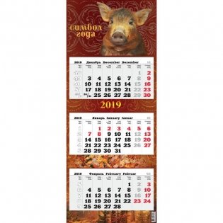 Календарь настенный на 2019 год "Символ года", 340х690 мм фото книги