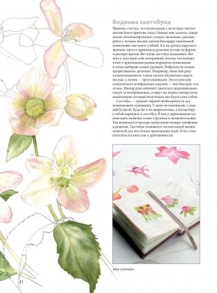 Портреты цветов от А до Я. Практическое руководство по рисованию акварелью фото книги 9