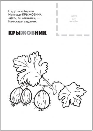 Раскраска с наклейками. Ягоды фото книги 5