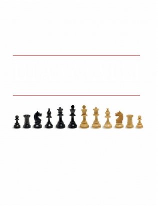 Шахматы: история, правила, навыки, тактики фото книги 4