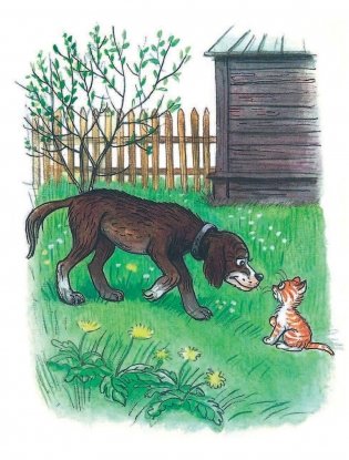 Котёнок по имени Гав. Сказки Г. Остера в рисунках В. Сутеева фото книги 9