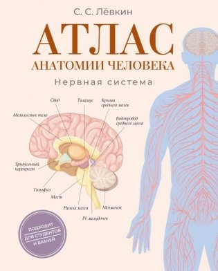 Атлас анатомии человека. Нервная система фото книги