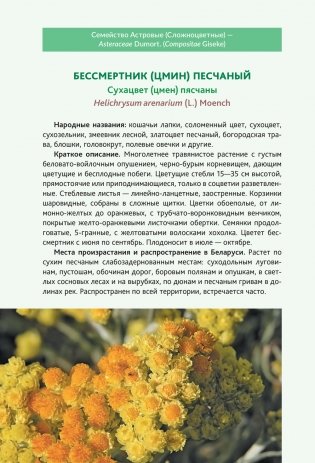 Пряно-ароматические растения природной флоры Беларуси фото книги 3