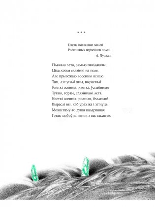 Выбранае фото книги 6