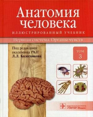 Анатомия человека. Учебник. В 3-х томах. Том 3: Нервная система. Органы чувств. Гриф МО РФ фото книги