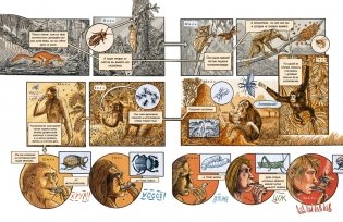 Инсектополис история насекомых от Большого взрыва до наших дней фото книги 7
