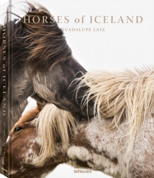 Horses of Iceland фото книги