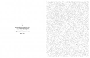 Mystery Coloring Wild Animals фото книги 6