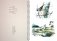 Картотека предметных картинок. Выпуск №9. 3-7 лет. Домашние, перелетные, зимующие птицы. ФГОС фото книги маленькое 3