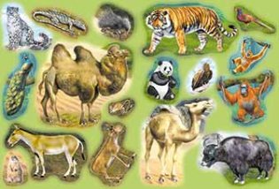 Кто живет в Азии фото книги 2