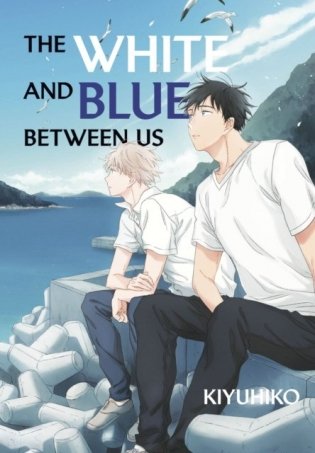 The White and Blue Between Us фото книги