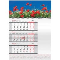 Календарь квартальный "Mono. Цветы", с бегунком, на 2017 год фото книги