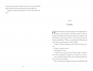 Sisters of Sword and Song фото книги 4