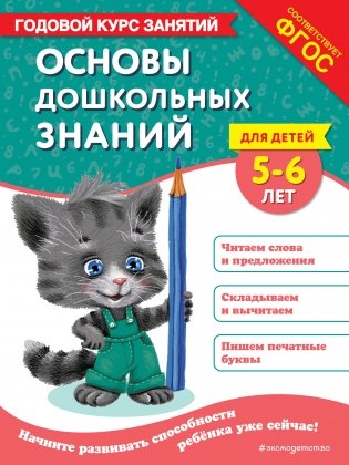 Основы дошкольных знаний для детей 5-6 лет. Годовой курс занятий фото книги
