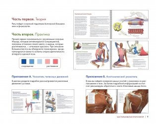 Ключевые позы йоги фото книги 8