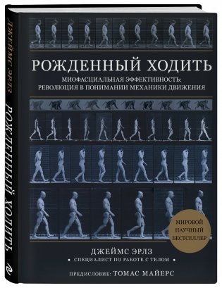 Рождённый ходить. Миофасциальная эффективность: революция в понимании механики движения фото книги 2