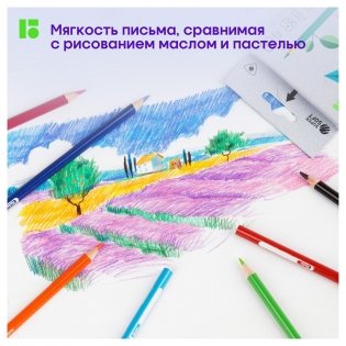 Карандаши цветные Berlingo "SuperSoft. Жил-был кот", 12 цв., трехгран., заточен., картон, европодвес. Арт. SS00512 фото книги 2