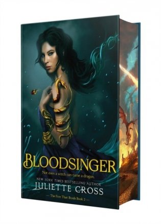 Bloodsinger фото книги