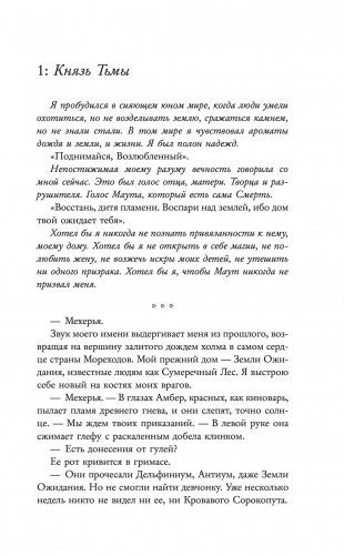 Небо после бури фото книги 16