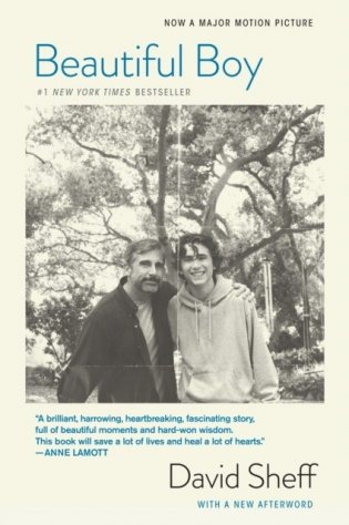 Beautiful Boy (Movie Tie-In Edition): A Father's Journey Through His Son's Addiction фото книги