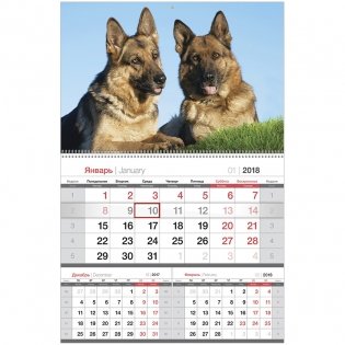 Календарь квартальный "Mono premium. Год собаки", с бегунком, на 2018 год фото книги