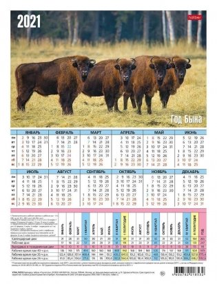 Календарь-табель на 2021 год "Знак года", 195х255 мм фото книги 3