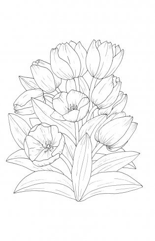 Зачарованный сад. Мини-раскраска-антистресс для творчества и вдохновения (обновленное издание) фото книги 15