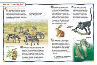 Млекопитающие фото книги 3