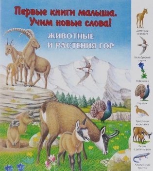 Животные и растения гор фото книги