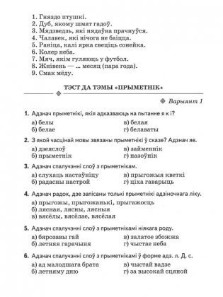 Беларуская мова. 4 клас. Заданнi для работы ў школе i дома фото книги 6