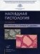 Наглядная гистология. 3-е изд., испр. и доп фото книги маленькое 2