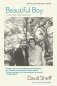 Beautiful Boy (Movie Tie-In Edition): A Father's Journey Through His Son's Addiction фото книги маленькое 2