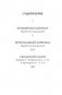 Тридцать три несчастья. Том 3. Превратности судьбы фото книги маленькое 3