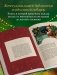 Магия Нового года. Легенды, обычаи и тайны новогоднего волшебства со всего света фото книги маленькое 7