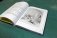 Котлетное расследование кота Страуса фото книги маленькое 5