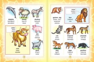 Англо-русский визуальный словарь для детей фото книги 6