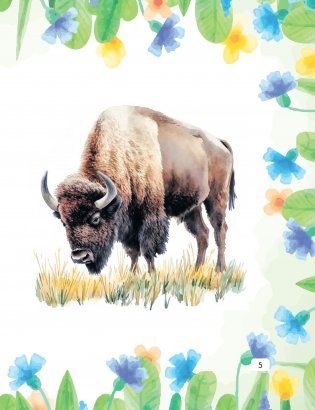 У лясах Белавежы фото книги 4